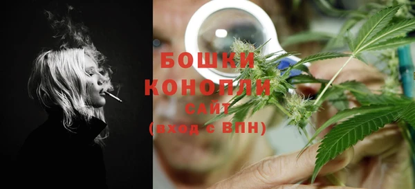 mix Богородск