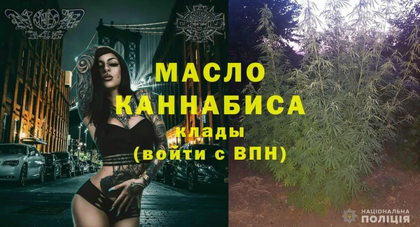 ECSTASY Бородино