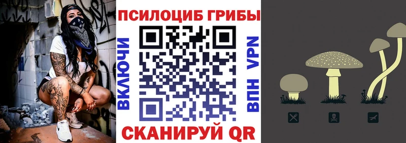 блэк спрут рабочий сайт Можга Псилоцибиновые грибы мухоморы